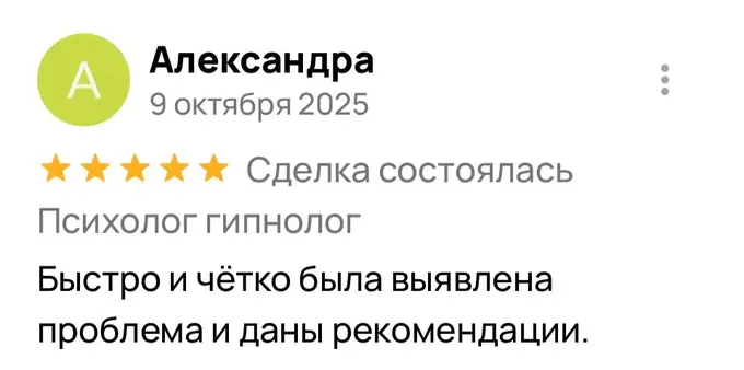 Отзыв Александра